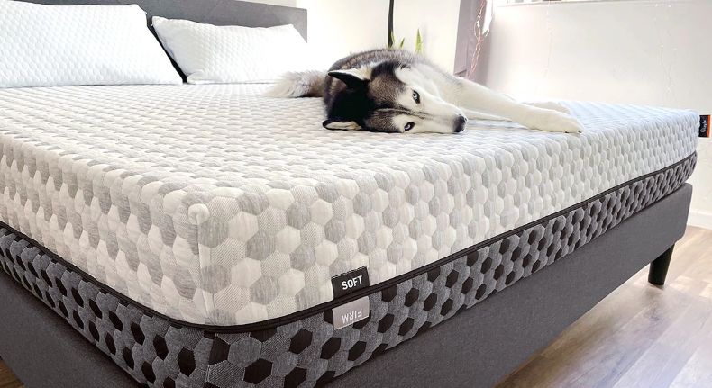 Layla Sleep Mattress