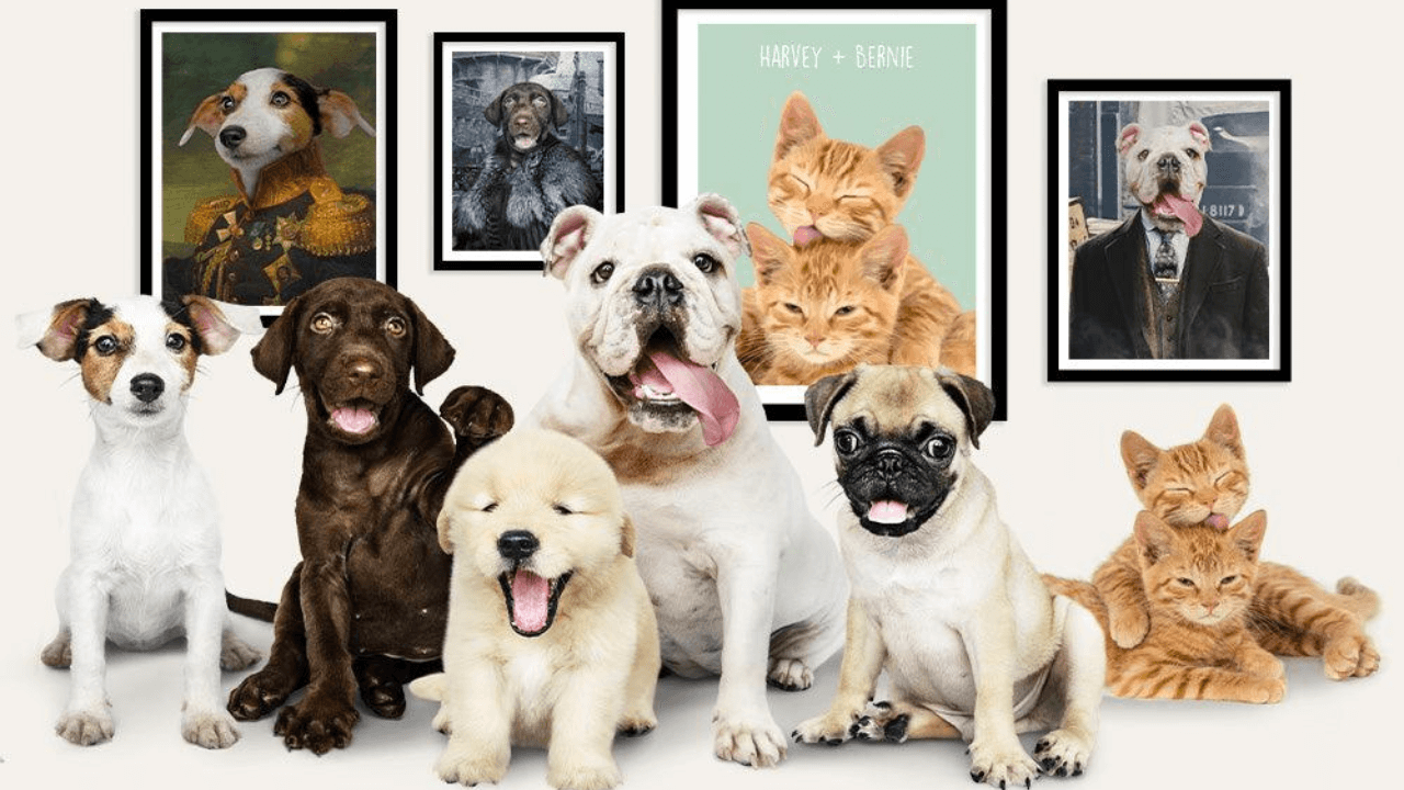 A Guide To Getting The Perfect Pet Portrait At Purr And Mutt