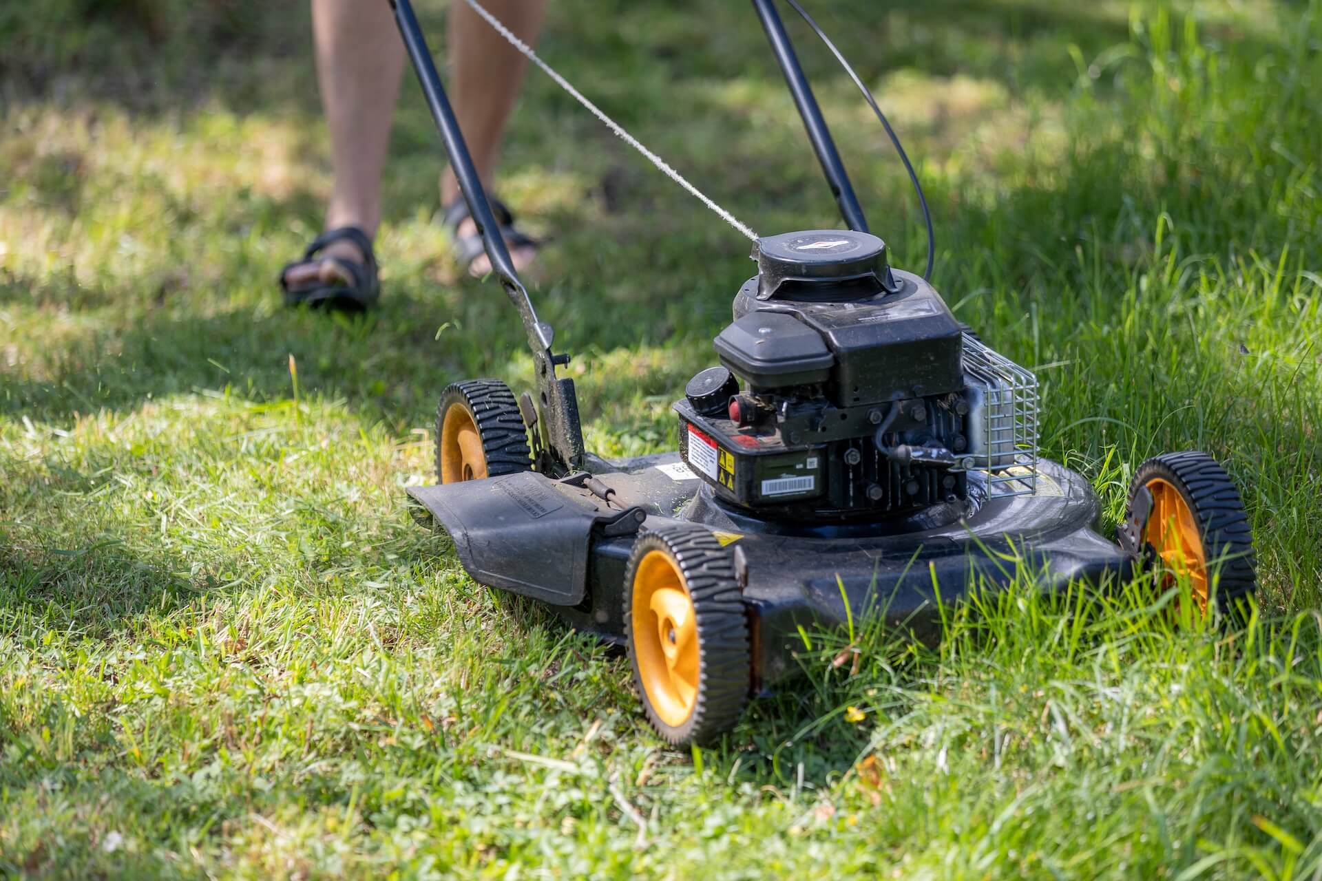 The Best Lawn Mowers For Achieving A Pitch-Perfect Garden