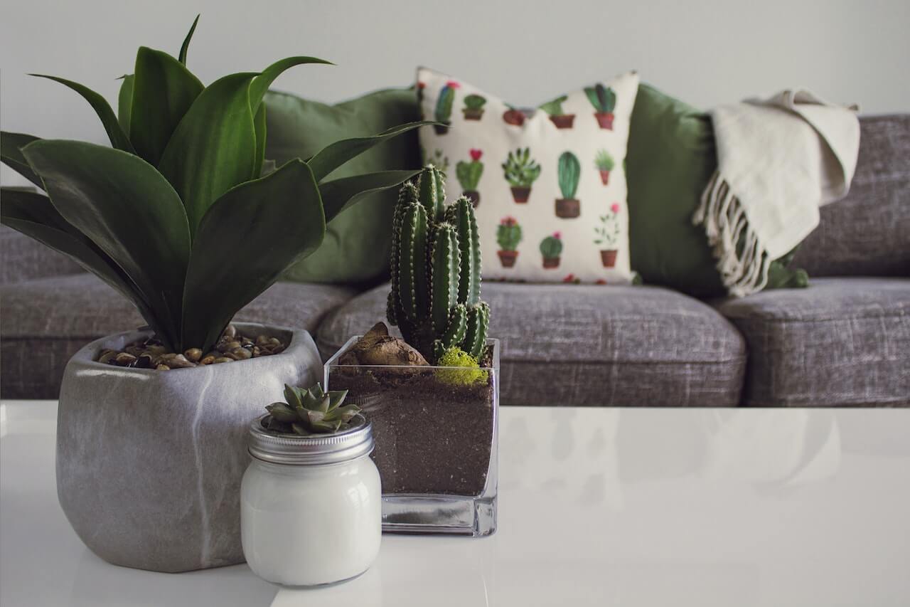 Home Decor Ideas That Are Eco-Friendly