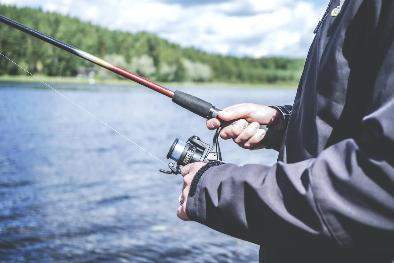 Different Types of Fishing Reels From Scheels: A Full Guide